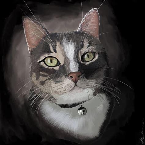 I draw realistic Cats! : r/cats