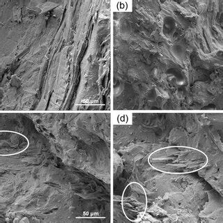 Mechanical properties of wood flour/PLA composites with different types... | Download Scientific ...