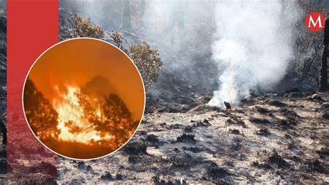 Suman Brigadistas Para Combatir Incendio Forestal En Libres Puebla