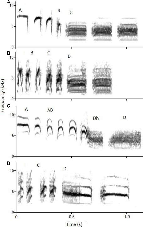 Representative Sound Spectrograms Of Frequency Khz Y Axis By Time Download Scientific