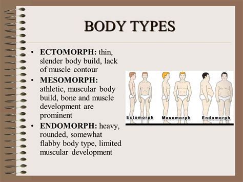 Body Types Mesomorph Ectomorph Endomorph Video Lesson Off