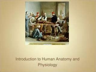 Ppt Introduction To Human Physiology Powerpoint Presentation Free