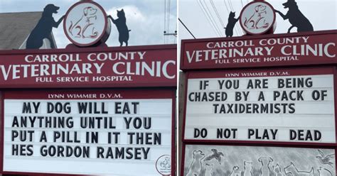 Vet clinic posts hilarious roadside signs to make its customers smile ...