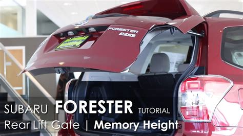 Subaru Forester Lift Gate Support Memory Height Tutorial Youtube