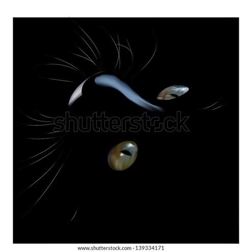 Black Cat Realistic Stock Vector Royalty Free 139334171 Shutterstock