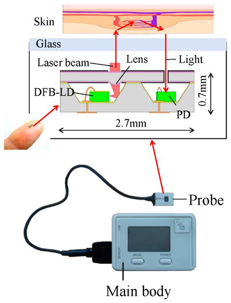 Sensors Free Full Text Detection Of Site Specific Blood Flow