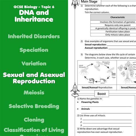 Sexual And Asexual Reproduction Home Learning Worksheet Gcse