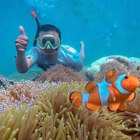 Bali Padangbai Blue Lagoon Snorkeling Day Trip Getyourguide