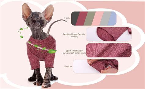 Amazon Dentrun Sphynx Hairless Cats Shirt Pullover Kitten T