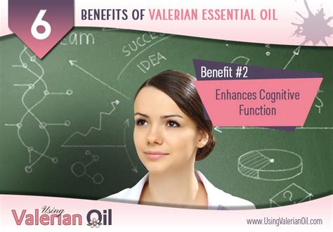 Using Valerian Oil 6 Benefits Of Valerian Essential Oil