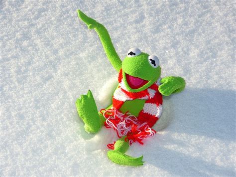 500 Free Kermit And Frog Images Pixabay