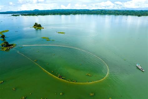 Album Asia Mengintip Aktivitas Menangkap Ikan Di Danau Kaptai Antara