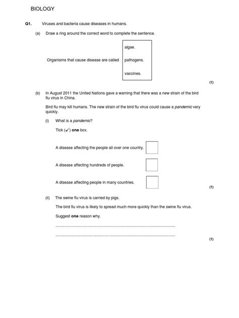 Year 9 Paper Pdf