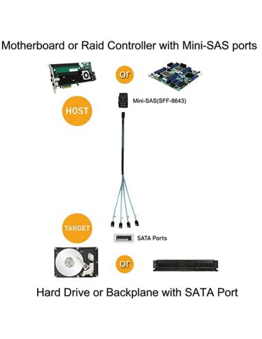 SFF-8643-HOST | Buy ASRock Rack Internal HD Mini SAS (SFF-8643 Host ...