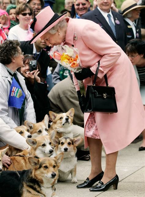 Photos of Queen Elizabeth II With Her Royal Corgis - Business Insider