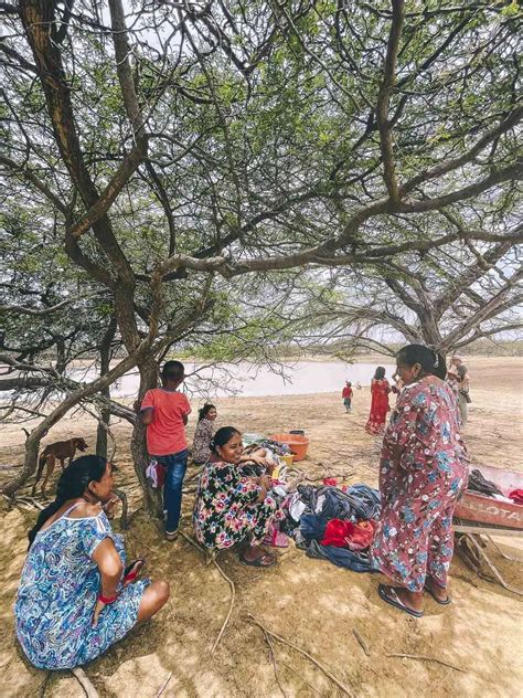 Experiencia Cultural Con Una Familia Indígena Wayuu En La Guajira