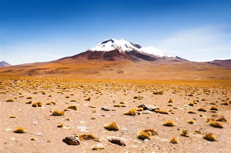 Premium Photo High Altitude Desert Landscape On Plateau Altiplano