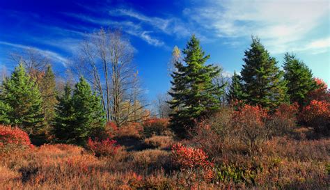 Free Images Landscape Tree Nature Wilderness Mountain Cloud