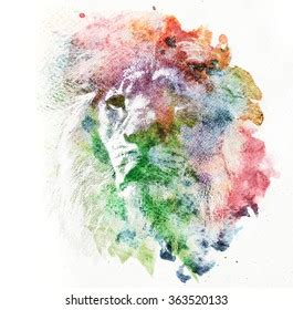 Watercolor Painting Lion Abstract Colorful Art Stock Illustration 363520133