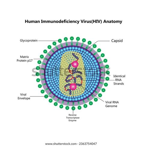 60 Hiv Aids Art Therapy Images, Stock Photos & Vectors | Shutterstock