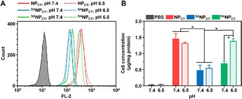 Figure 1 From Application Of Tumor PH Hypoxia Responsive Nanoparticles