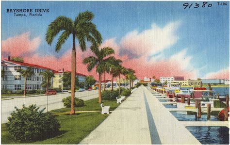 133 Florida Vintage Postcards Time Travel Through Old Florida Artofit