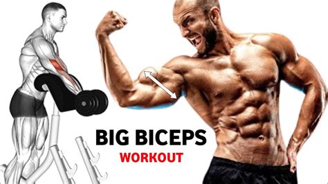 Biceps Workout At Gym Best Exercises For Big Biceps We Go Gym