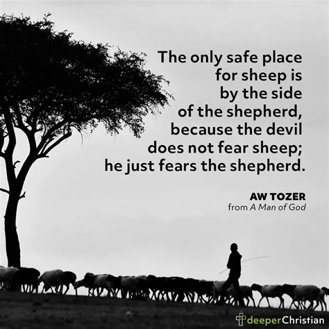 Beside The Shepherd Aw Tozer Deeper Christian Quotes