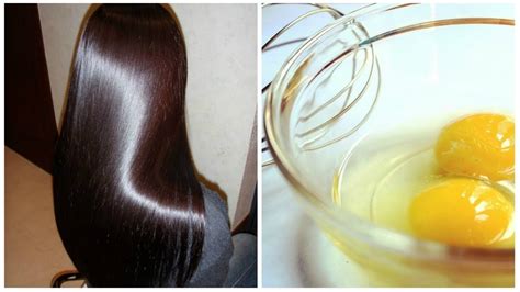 How To Use Eggs For Hair Growth And Its Benefits Vinaywa