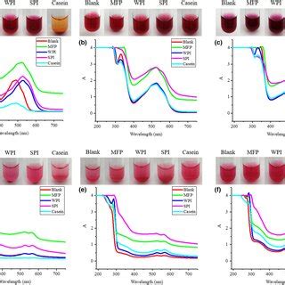 Effects of MFP, WPI, SPI, and casein on the color and absorption ...