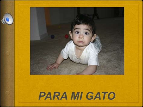 Vidas Tiene El Gato Ppt