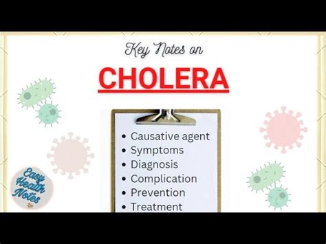 Cholera Treatment And Prevention