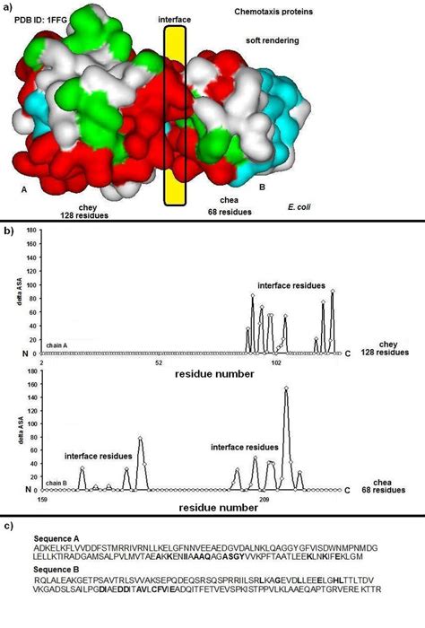 Representation Of Protein Protein Interfaces In 3d Structure Complex Download Scientific