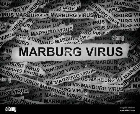 Strips Of Newspaper With The Words Marburg Virus Typed On Them Black