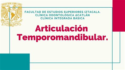 Articulación Temporomandibular Ximena Rangel uDocz