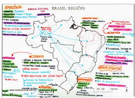 Mapa Mental Regiões Do Brasil BRAINCP