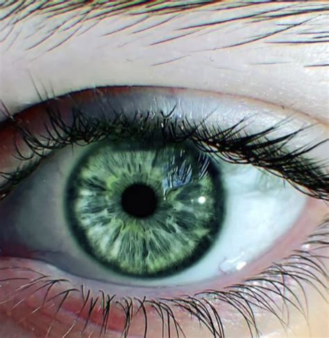 Green Eye Green Eyes Green Eyes