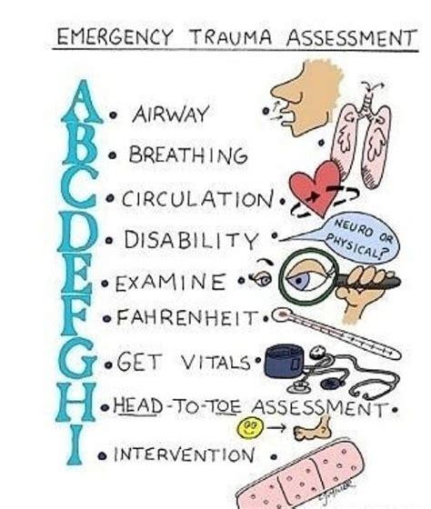 Emergency Trauma Assessment Medizzy