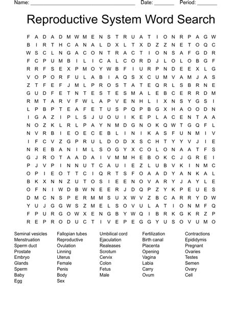 Reproductive System Word Search Wordmint