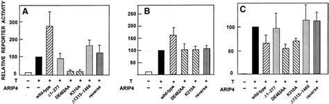 Effect Of Ectopic Arip4 Expression On Ar Dependent Transactivation A