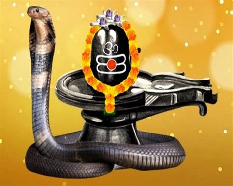 नाग पंचमी 2023 Happy Nag Panchami Wishes Quotes Message Shayari