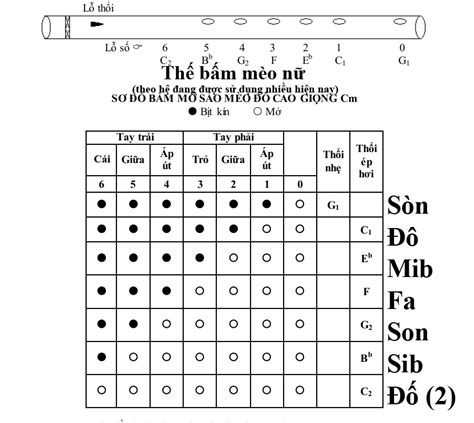 Hướng dẫn thổi sáo mèo Sáo Trúc Bùi Gia