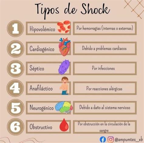 Tipos De Shock YUDOC ORG UDocz