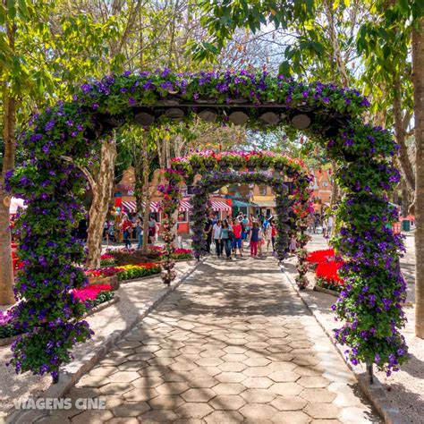 Holambra Cidade Das Flores Como Funciona A Expoflora 2018