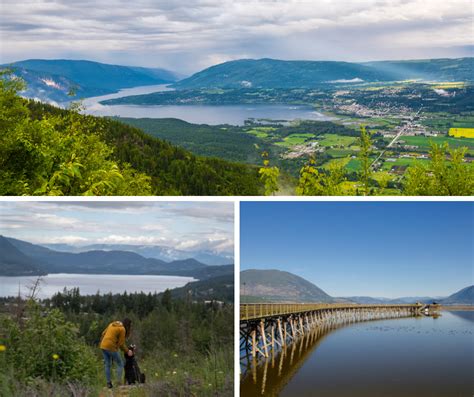 Latest News Salmon Arm Economic Development Society