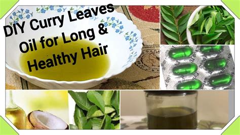 Homemade Curry Leaves Oil With Vitamin E Coconut Oil Diy Curry