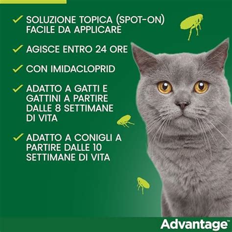 Migliori Antiparassitari Per Gatti Guida Acquisto E Top Prodotti