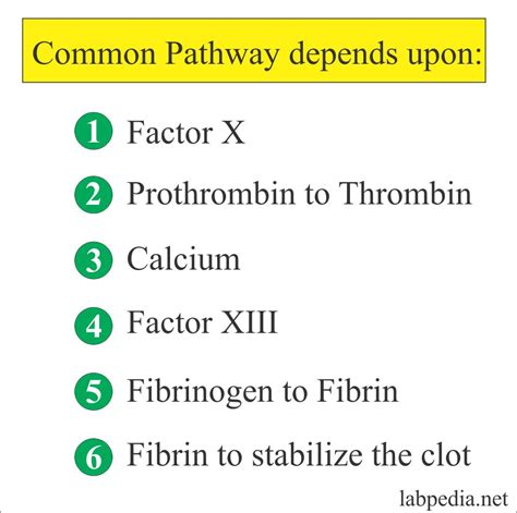 Coagulation – part 6 – Activated Partial Thromboplastin Time (APTT ...