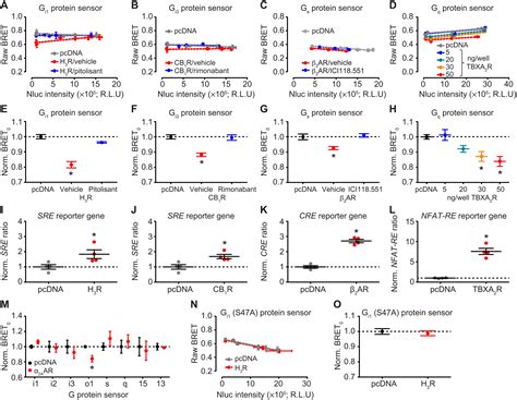 Quantitative Assessment Of Constitutive G Protein Coupled Receptor Activity With Bret Based G