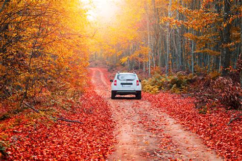 Fantastic Pitstops for Your Fall Foliage Tour | Let's Roam